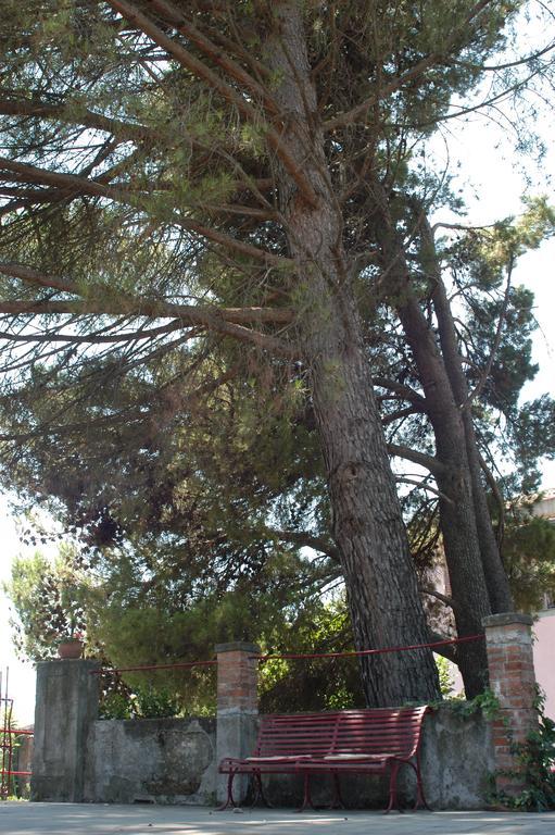 B&B Sotto I Pini Zafferana Etnea Dış mekan fotoğraf