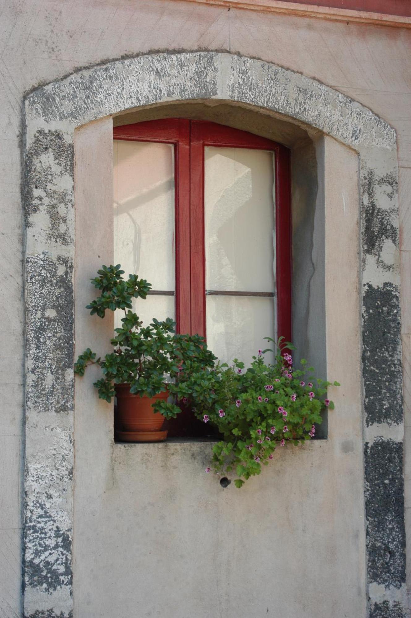 B&B Sotto I Pini Zafferana Etnea Dış mekan fotoğraf